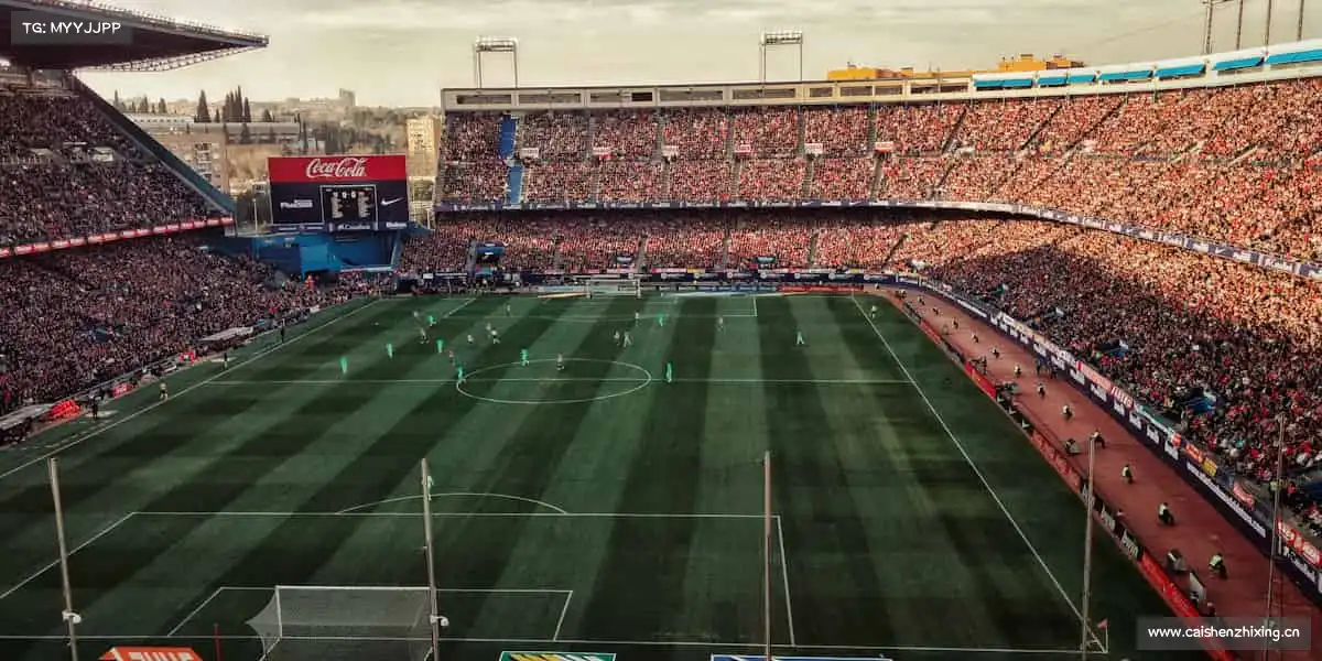 南宫NG28赛场如人生,敢拼才会赢!🏅